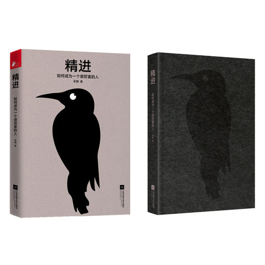 (仓发) 精进：如何成为一个很厉害的人（精装版）/江苏凤凰文艺出版社/采铜/9787559435835 商品图2