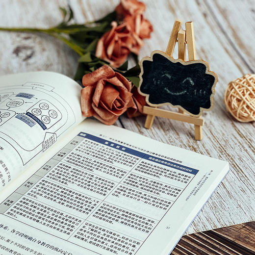 中小学德育一体化视域下的德育活动设计原理与实践  贾永春 徐晶星著 德育活动研究 商品图10