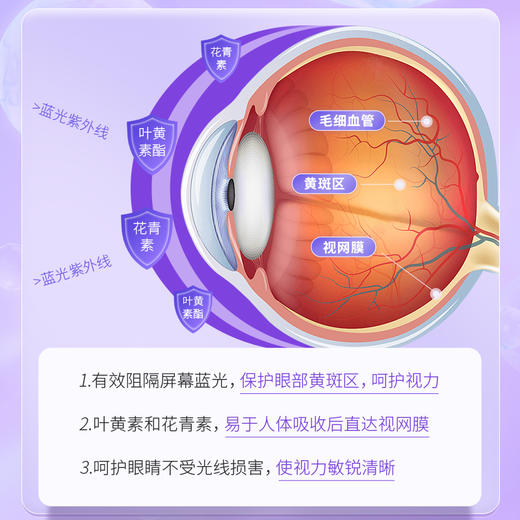 【买2送1】万花草蓝莓叶黄素酯软糖 叶黄素+花青素护眼软糖 QQ弹弹 独立包装 60g/盒 商品图3