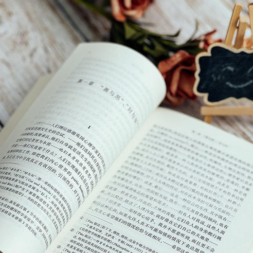 道德的谱系 西方传统 经典与解释 尼采注疏集 商品图8