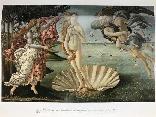 牛津西方艺术指南 数百幅插图 精装16开 商品图13