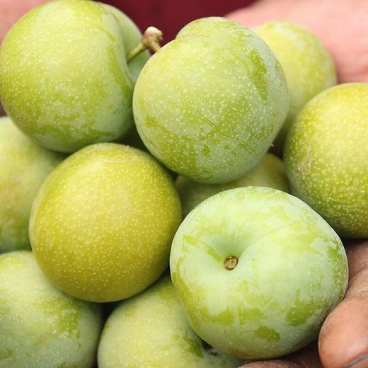 蜜桃李  500g/份 商品图0