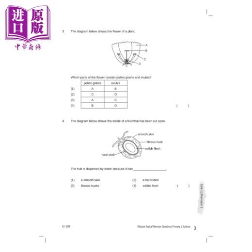 【中商原版】新加坡教辅 P5 Science Bitesize Topical Revision Questions 小学五年级科学专题复习问题 教材 教辅 商品图5