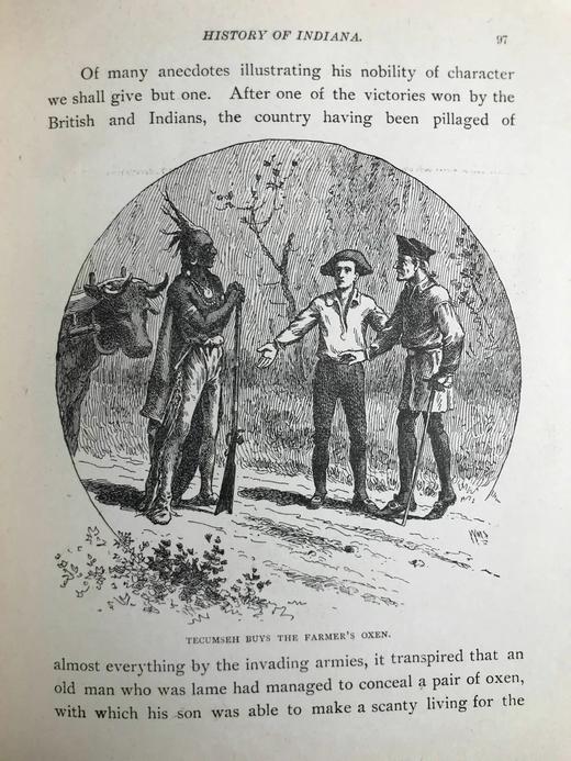 1891年 印第安纳通俗史 约百幅插图 漆布精装大32开 商品图13