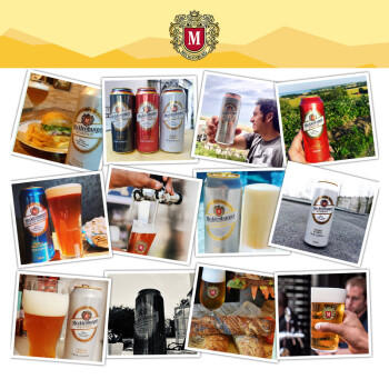 梅克伦堡比尔森500ml*24听 精酿整箱装 德国进口 京东自营 春日聚会畅饮 商品图2