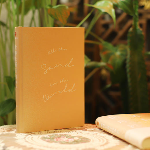 贾行家《世界上所有的沙子》 商品图4