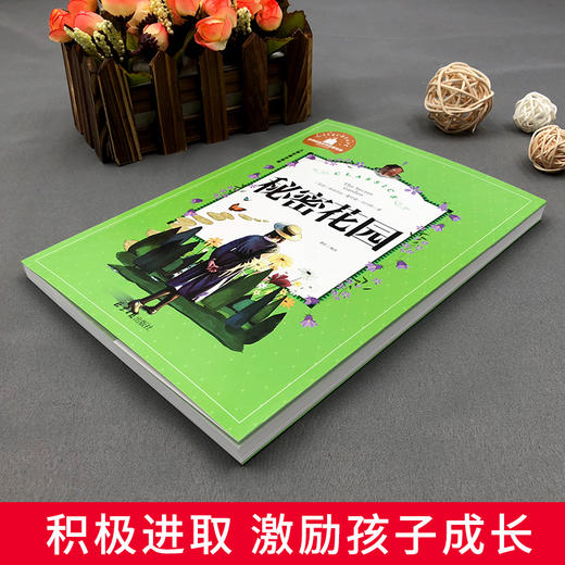 秘密花园 儿童彩图注音版 商品图4