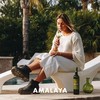 【Amalaya】阿玛拉雅（特浓情 雷司令）混酿干白葡萄酒 该产区标志型的特浓情葡萄 与雷司令的混酿 阿根廷1800米高海拔的圣伊西德罗葡萄园与产区 把干白的优势发挥到细节 偏远地区不发或请询客服 商品缩略图2