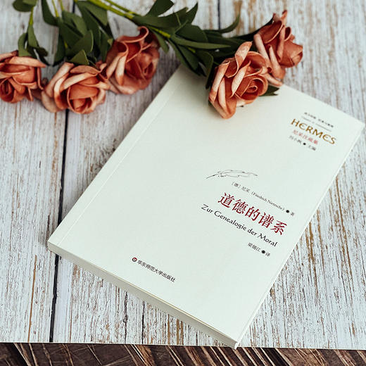 道德的谱系 西方传统 经典与解释 尼采注疏集 商品图3