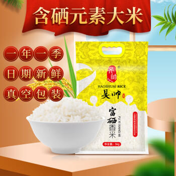 昊帅 富硒香米农家2025年新米银川长粒香米粳米宁夏大米真空10斤装 商品图2