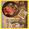 SPAM世棒午餐肉即食火腿猪肉罐头早餐三明治披萨泡面火锅食材 商品缩略图4