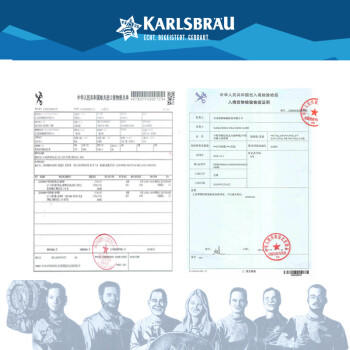 卡斯布鲁（KARLSBRAU）小麦啤酒500ml*24听 精酿整箱装 德国进口 京东自营 春日聚会畅饮 商品图3