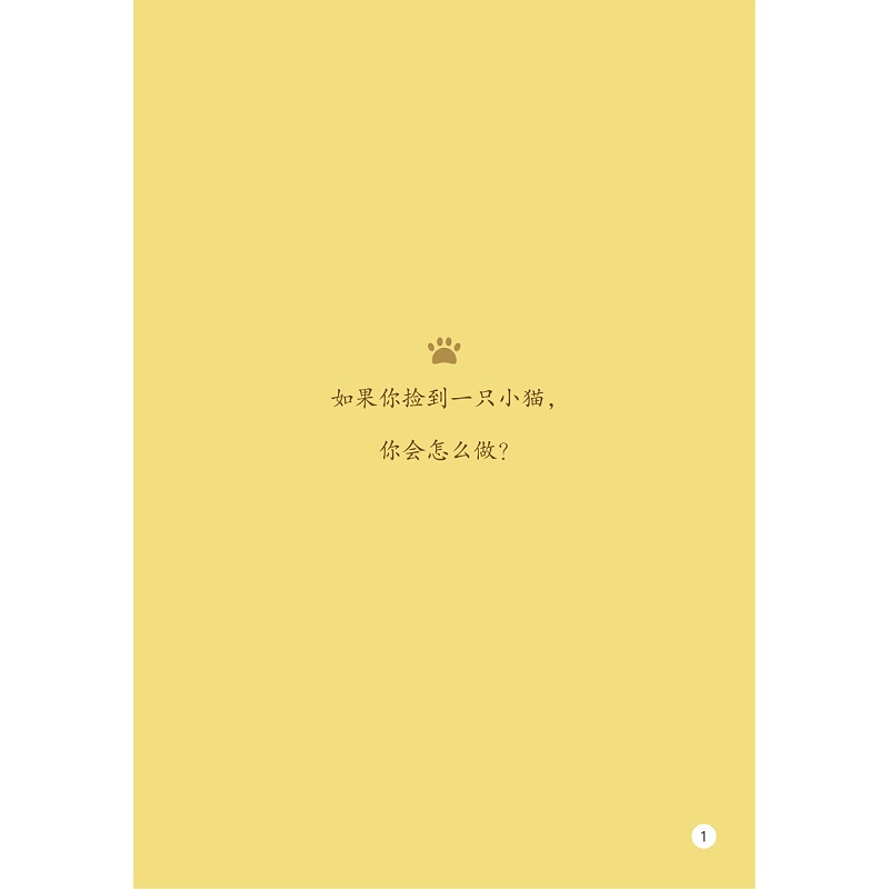 试读PDF-9787308192040(1-1)-启真桥梁书:偷养一只猫_009.jpg