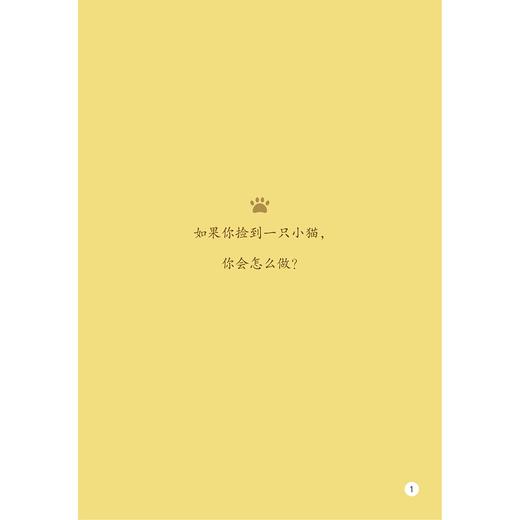 偷养一只猫/启真桥梁书/林淑玟/浙江大学出版社 商品图4