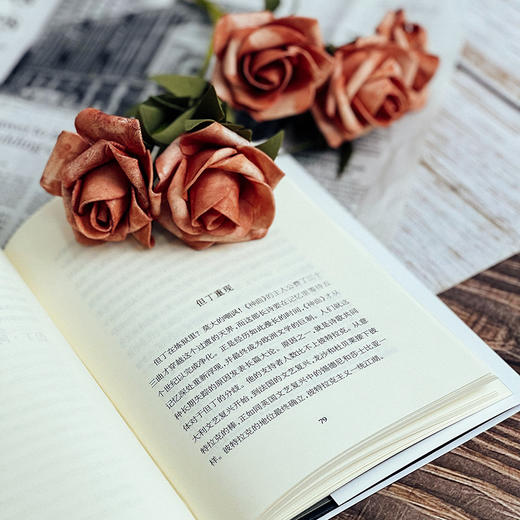 我们都是德国浪漫派 雅克·达拉斯著 曹胜超译 “轻与重”文丛 欧洲思想史 商品图8