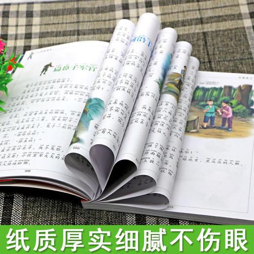 小英雄雨来 儿童彩图注音版 商品图2