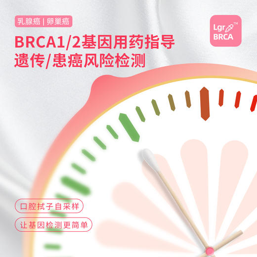 BRCA1/2基因用药指导风险检测 商品图0