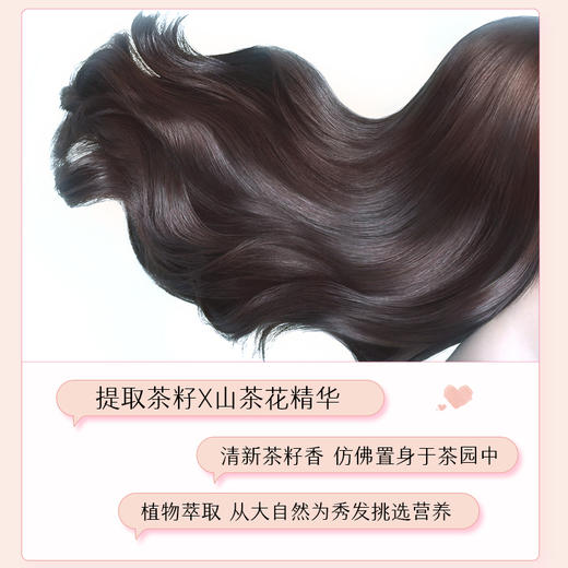 索芙特东方草本去屑洗沐套装东方草本茶麸去屑洗发水500g*1
东方草本山茶花精油香氛沐浴露500g*1 商品图2