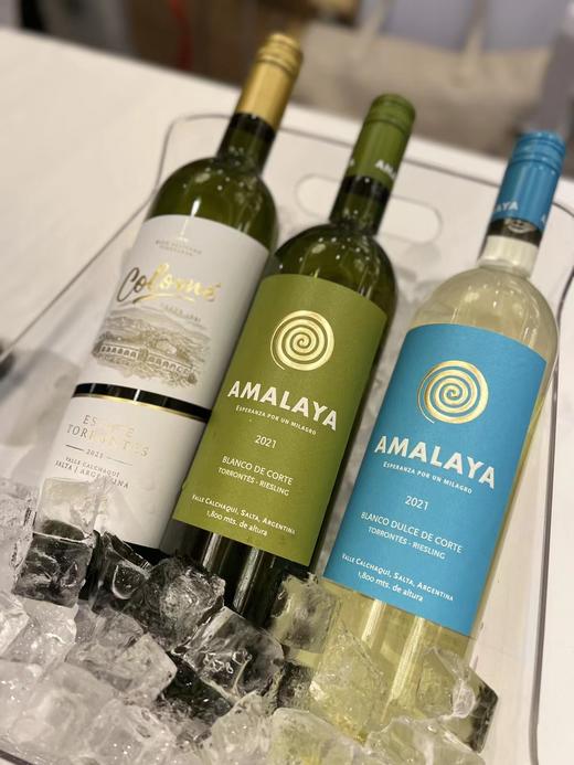【Amalaya】阿玛拉雅（特浓情 雷司令）混酿干白葡萄酒 该产区标志型的特浓情葡萄 与雷司令的混酿 阿根廷1800米高海拔的圣伊西德罗葡萄园与产区 把干白的优势发挥到细节 偏远地区不发或请询客服 商品图5