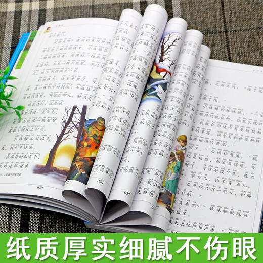 七色花 儿童彩图注音版 商品图2