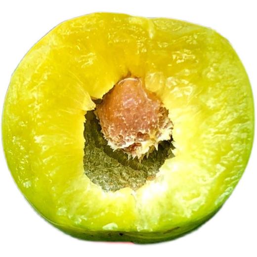 蜜桃李  500g/份 商品图2
