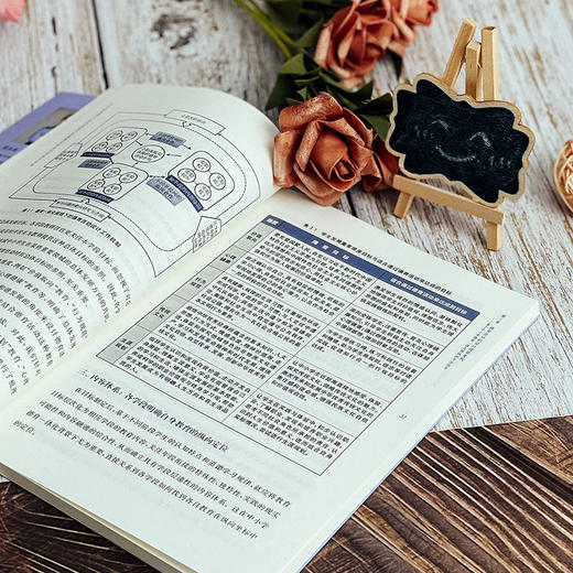 中小学德育一体化视域下的德育活动设计原理与实践  贾永春 徐晶星著 德育活动研究 商品图11