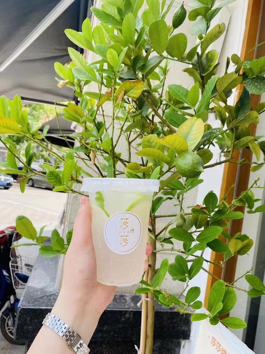 柠檬气泡水 商品图0