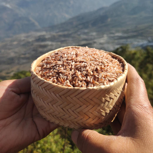 自然农法白糯米 1000克 商品图3