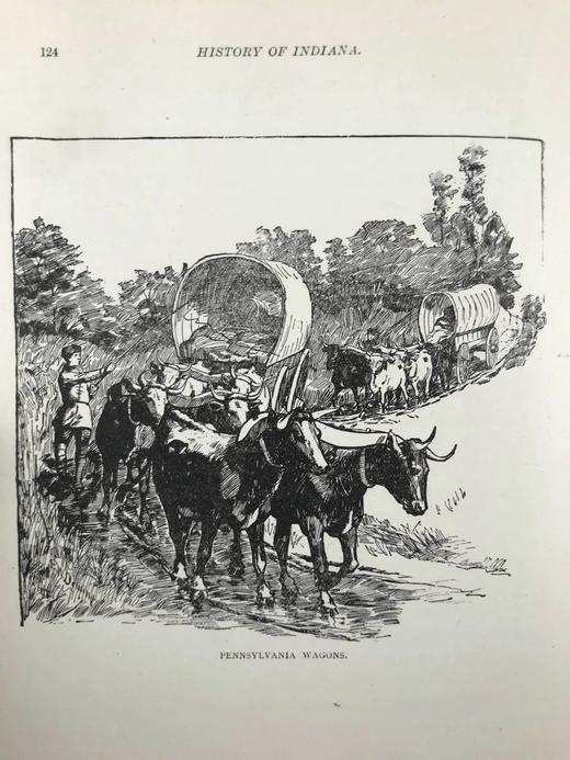 1891年 印第安纳通俗史 约百幅插图 漆布精装大32开 商品图9
