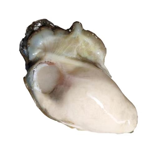 冰鲜【顺丰包邮】熟冻生蚝肉  200克*5包 商品图2