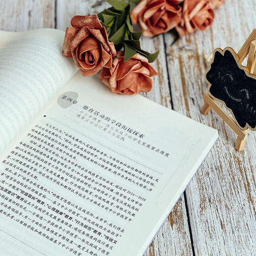 中小学德育一体化视域下的德育活动设计原理与实践  贾永春 徐晶星著 德育活动研究 商品图5