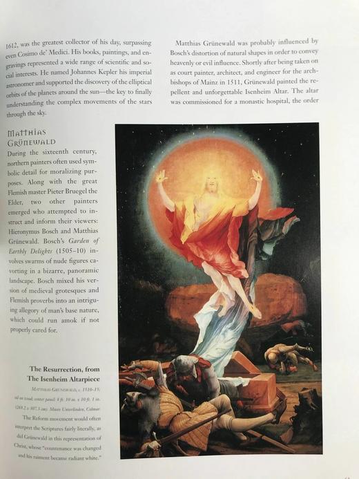 文艺复兴艺术与建筑杰作 107幅插图 精装大16开 商品图14