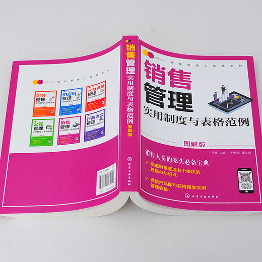 (仓发) 精益管理工具箱系列--销售管理实用制度与表格范例（图解版）/化学工业出版社/付玮琼，副主编/9787122385802 商品图5