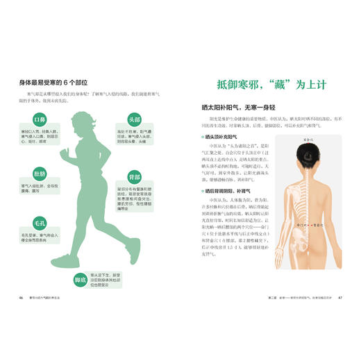 黄帝内经六气顺时养生法 商品图4