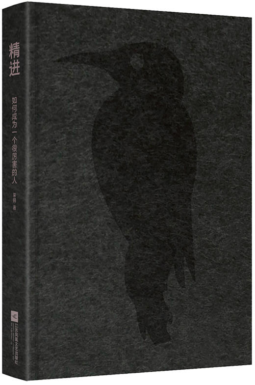 (仓发) 精进：如何成为一个很厉害的人（精装版）/江苏凤凰文艺出版社/采铜/9787559435835 商品图3