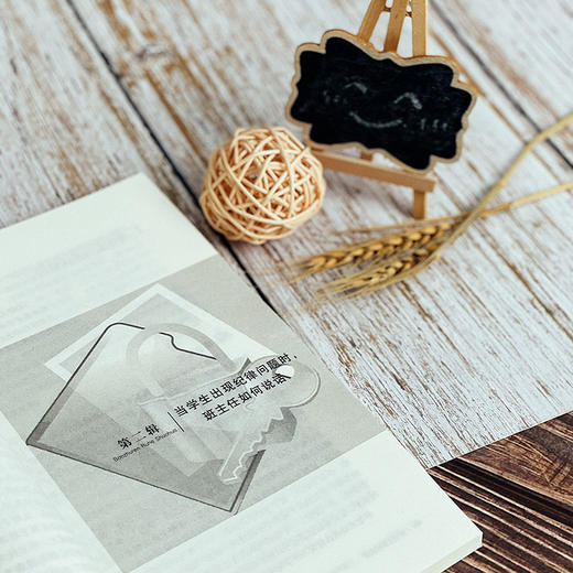 班主任如何说话  赵坡 大夏书系 商品图5