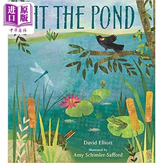 【中商原版】At the Pond 池塘边 英文原版儿童精品绘本 动物及动物故事主题 David Elliott 6到9岁 商品图0