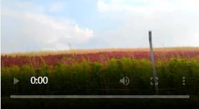 买家秀~来自【小喵酱】的分享