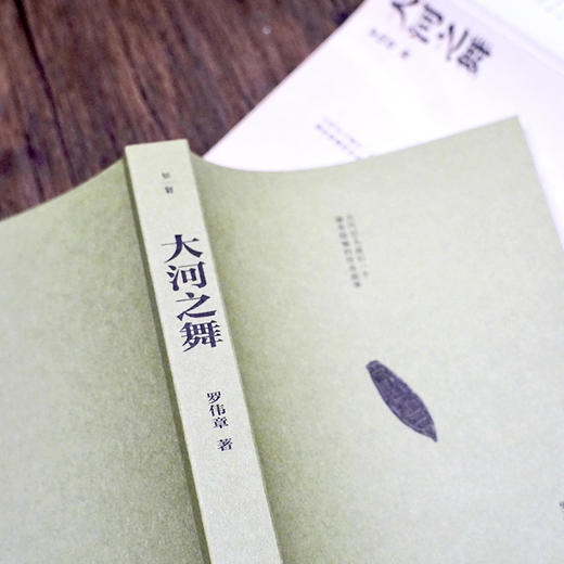 【“云端书展”专区】大河之舞：古代巴人最后一个遍布隐喻的传奇故事 罗伟章/著  商品图4
