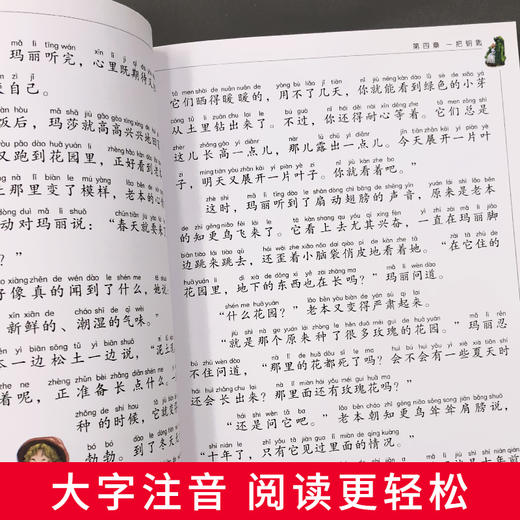 秘密花园 儿童彩图注音版 商品图2