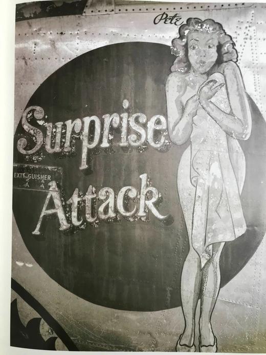 天空精神：二战中的飞机 100余幅插图 精装大16开 商品图9