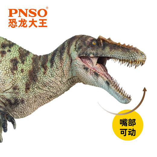 PNSO虔州龙阿殊恐龙大王成长陪伴模型42 商品图4