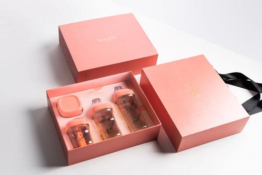 Hegen X Petunia联名限量款婴儿多功能PPSU奶瓶礼盒套装 商品图2