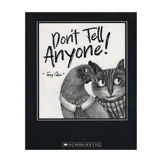 英文原版  Don'T Tell Anyone 不能说的秘密 商品图0