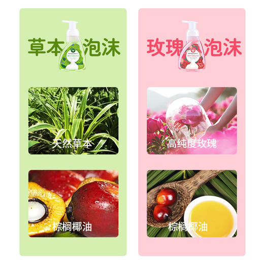 泡沫抑菌洗手液（玫瑰+草本）325ML*2瓶 商品图1