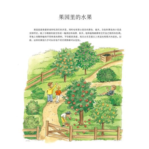 果园大发现/自然大发现系列/(奥)莱奥诺蕾·盖塞尔布莱希特-塔费尔纳/浙江大学出版社 商品图4