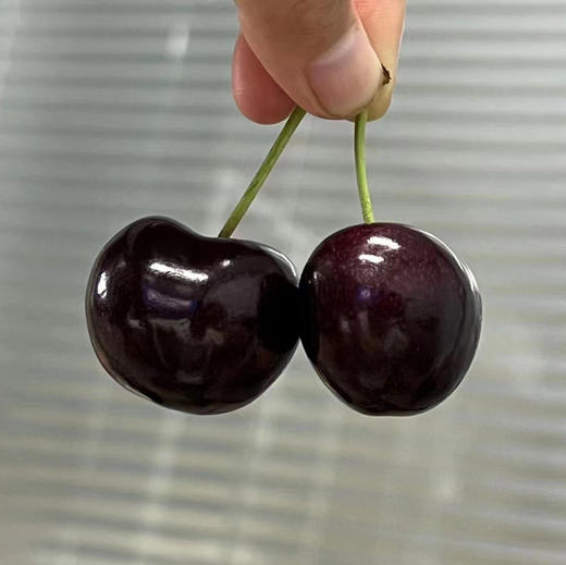 车厘子9行超大的硬货车厘子，果子炒鸡硬，口感特别甜，杆子碧绿脆甜多汁，味道浓郁。 商品图11