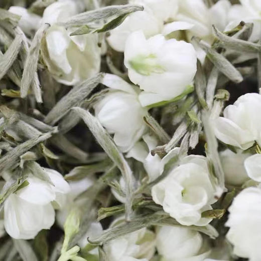 清如许茶山定制｜2025九窨茉莉针王 （福州传统工艺） 商品图8