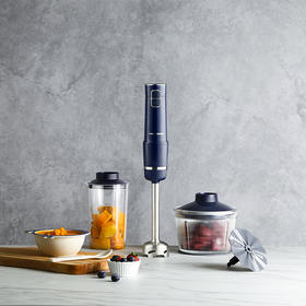 摩飞电器（MORPHY RICHARDS）多功能小型手持无线料理棒 MR6008