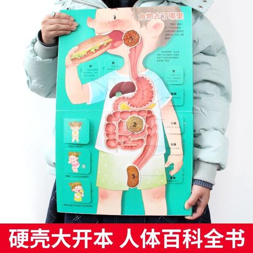我们的身体3d立体书儿童绘本翻翻书揭秘身体系列科普百科早教启蒙 商品图1